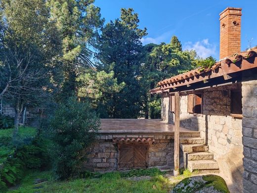 Villa à Tempio Pausania, Provincia di Sassari