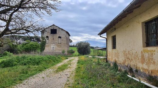 Fattoria a Gallicano nel Lazio, Roma