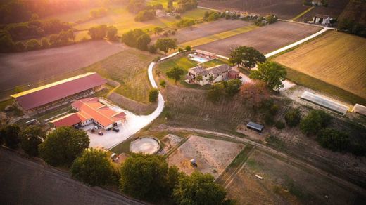 Загородный Дом, San Lorenzo in Campo, Provincia di Pesaro e Urbino