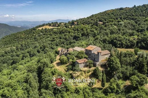Замок, Ареццо, Province of Arezzo