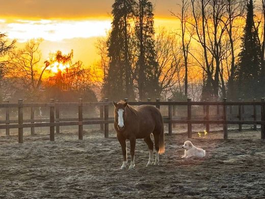 别墅  Cantello, 瓦雷泽省