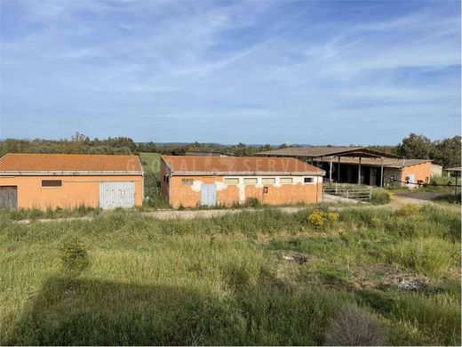 Hotel w Alghero, Provincia di Sassari