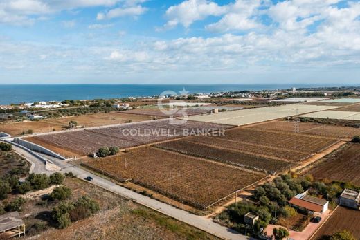 Αγροτεμάχιο σε Bari, Puglia