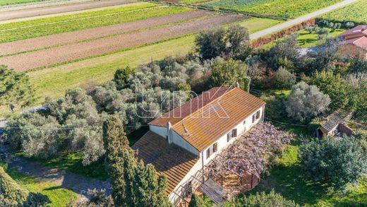 Casale a Campiglia Marittima, Livorno