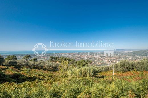 Country House in Pietrasanta, Provincia di Lucca