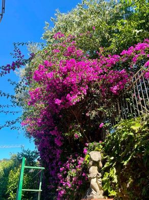 Apartament w Santa Margherita Ligure, Provincia di Genova