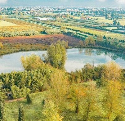 Villa - Prato, Provincia di Prato