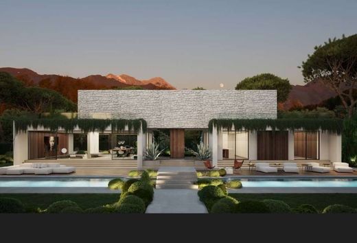 别墅  Forte dei Marmi, 卢卡省