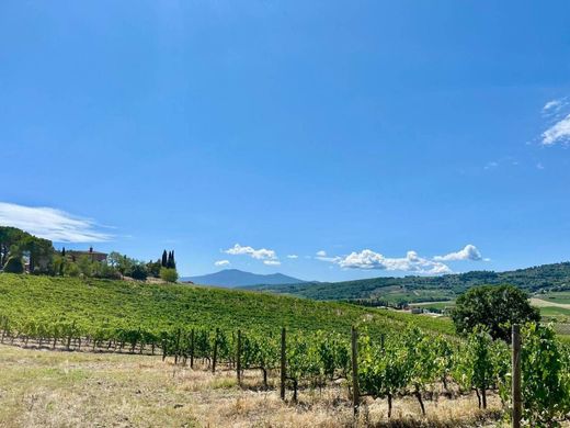 농장 / Montalcino, Provincia di Siena