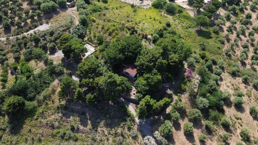 Terreno - Trabia, Palermo