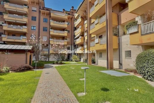 Penthouse in Segrate, Milan