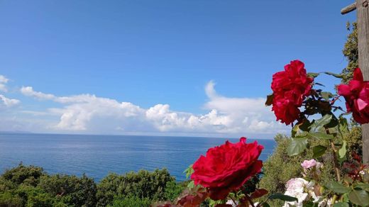 Villa à San Felice Circeo, Provincia di Latina