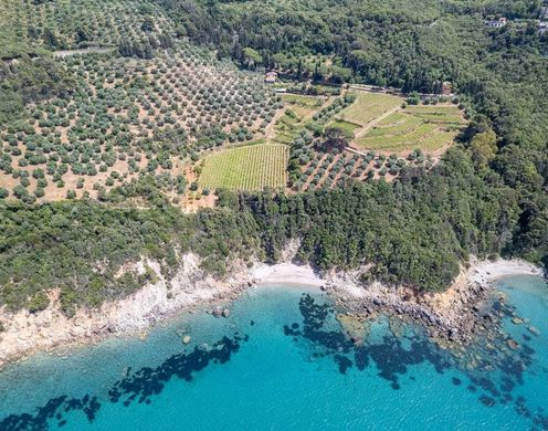 منزل ريفي ﻓﻲ Monte Argentario, Provincia di Grosseto