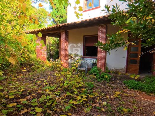 Country House in Vinci, Florence