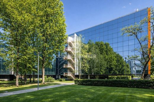 Büro in Assago, Mailand