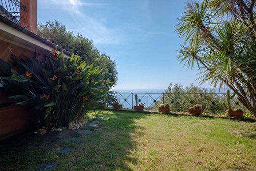 Лэйнхаус, Albisola Marina, Provincia di Savona