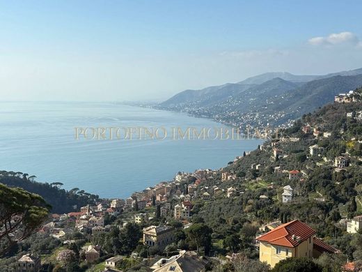 Apartment in Camogli, Provincia di Genova