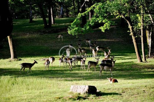 Finca en Gattico, Provincia di Novara