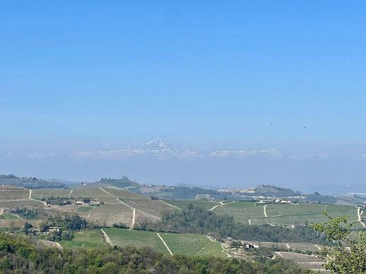 Gospodarstwo w Treiso, Provincia di Cuneo