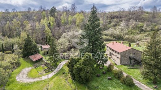 Country House in Castelfranco Piandiscò, Province of Arezzo