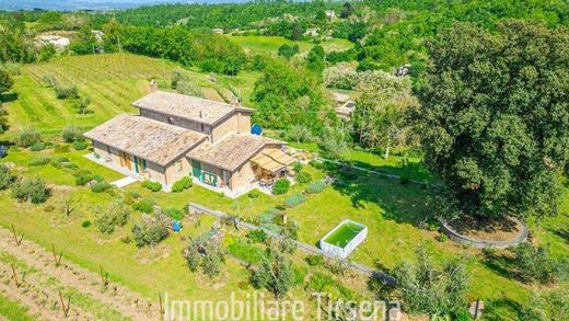 Загородный Дом, Орвието, Provincia di Terni