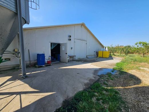 ‏חווה ב  Viterbo, Provincia di Viterbo