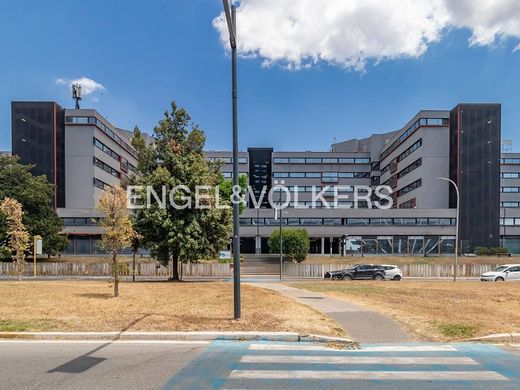 콘도미니엄 / 로마, Lazio