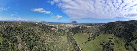 토지 / Loiri Porto San Paolo, Provincia di Sassari