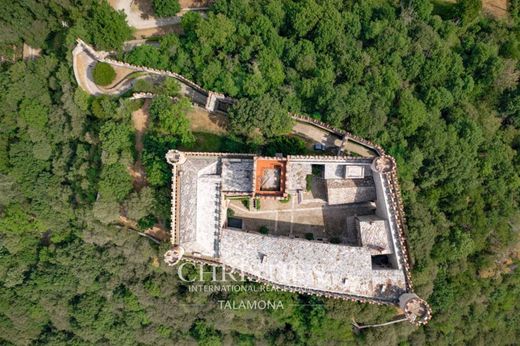 Château · Castle in Montalto Dora