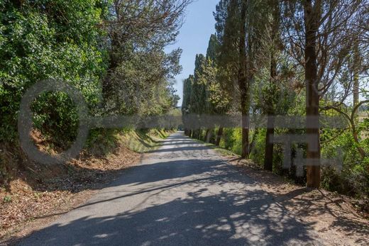 Köy evi Bibbona, Livorno ilçesinde