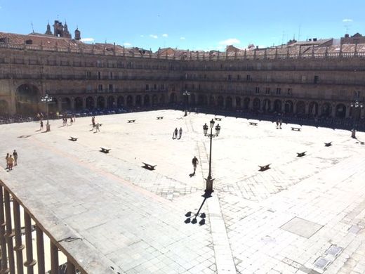 아파트 / Salamanca, Provincia de Salamanca