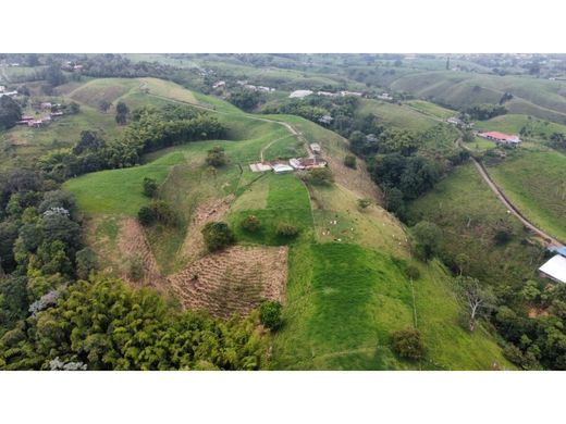 Farma w Circasia, Quindío Department