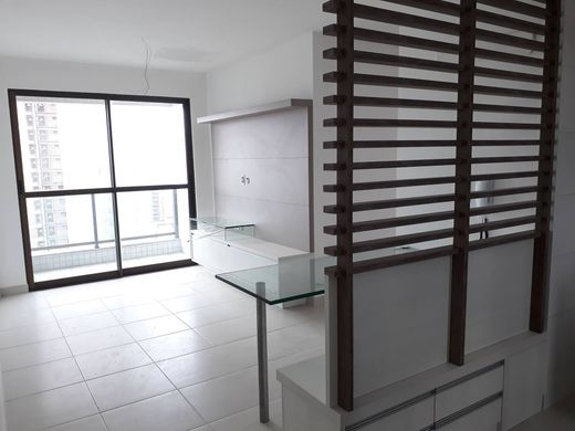 Appartement in Recife, Pernambuco