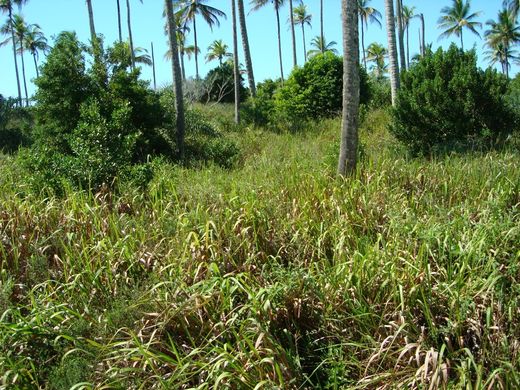 Grundstück in Una, Bahia