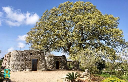 Casa de campo - Tricase, Provincia di Lecce