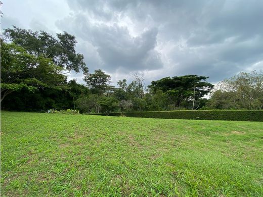 Grond in Armenia, Quindío Department