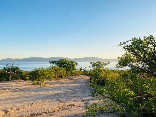 Grond in El Sargento, La Paz