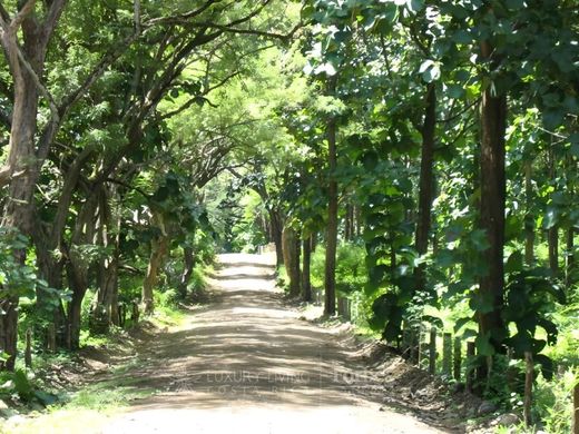 Αγροτεμάχιο σε Santa Cruz, Provincia de Guanacaste