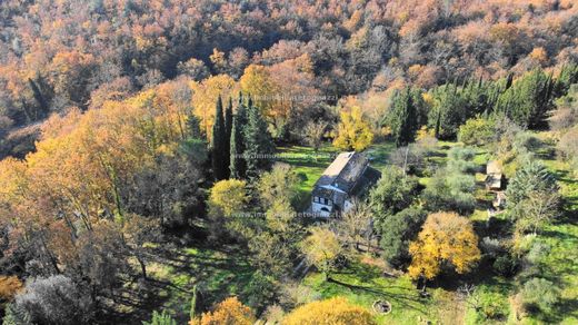 Rustykalny lub Wiejski w Montaione, Province of Florence