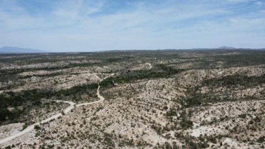 Teren w San José del Cabo, Los Cabos