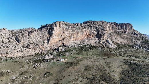 농장 / Antequera, Provincia de Málaga