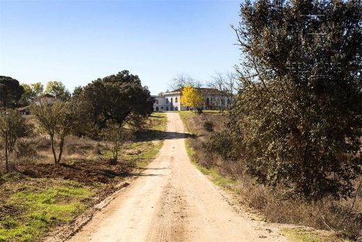 Πολυτελή κατοικία σε Estremoz, Distrito de Évora