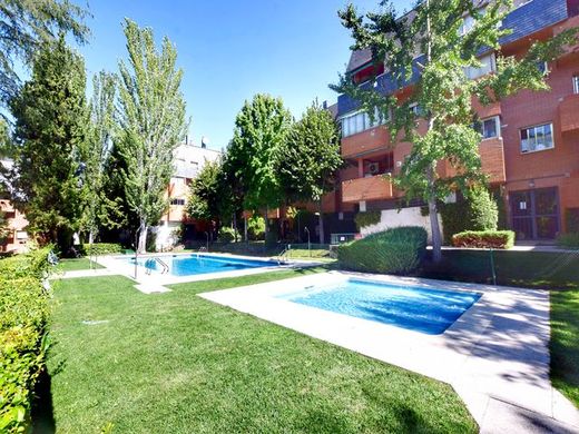 Appartement à Villaviciosa de Odón, Province de Madrid