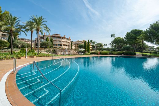 Apartment in Costa d'en Blanes, Province of Balearic Islands