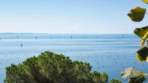 Villa en Trieste, Friuli Venezia Giulia