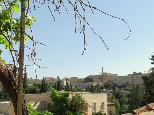 호화 저택 / Jerusalem, Jerusalem District