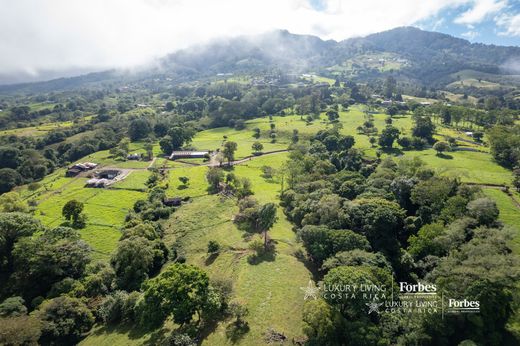 Fattoria a San Isidro de Coronado, Vázquez de Coronado