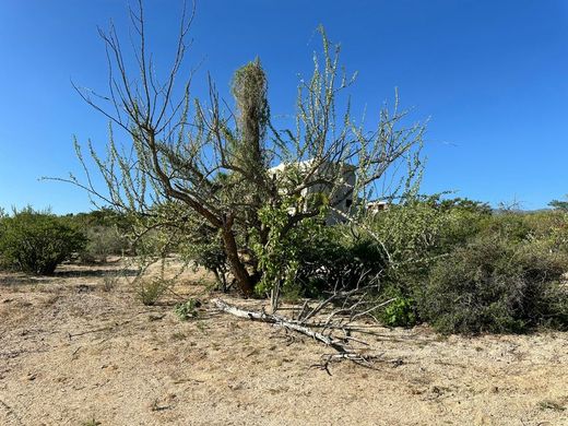 Grond in El Sargento, La Paz