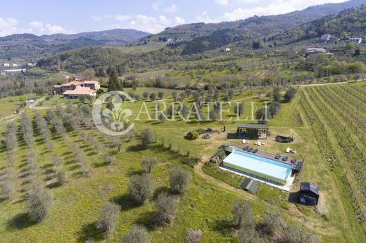 Boerderij in Pelago, Province of Florence