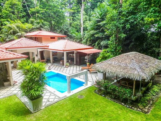 Πολυτελή κατοικία σε Manzanillo, Talamanca